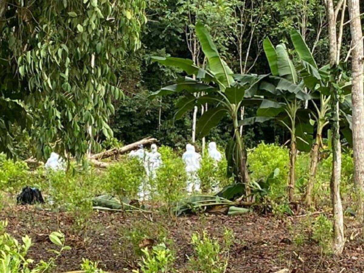 El Ejército reportó el hallazgo de cinco cuerpos en Nariño