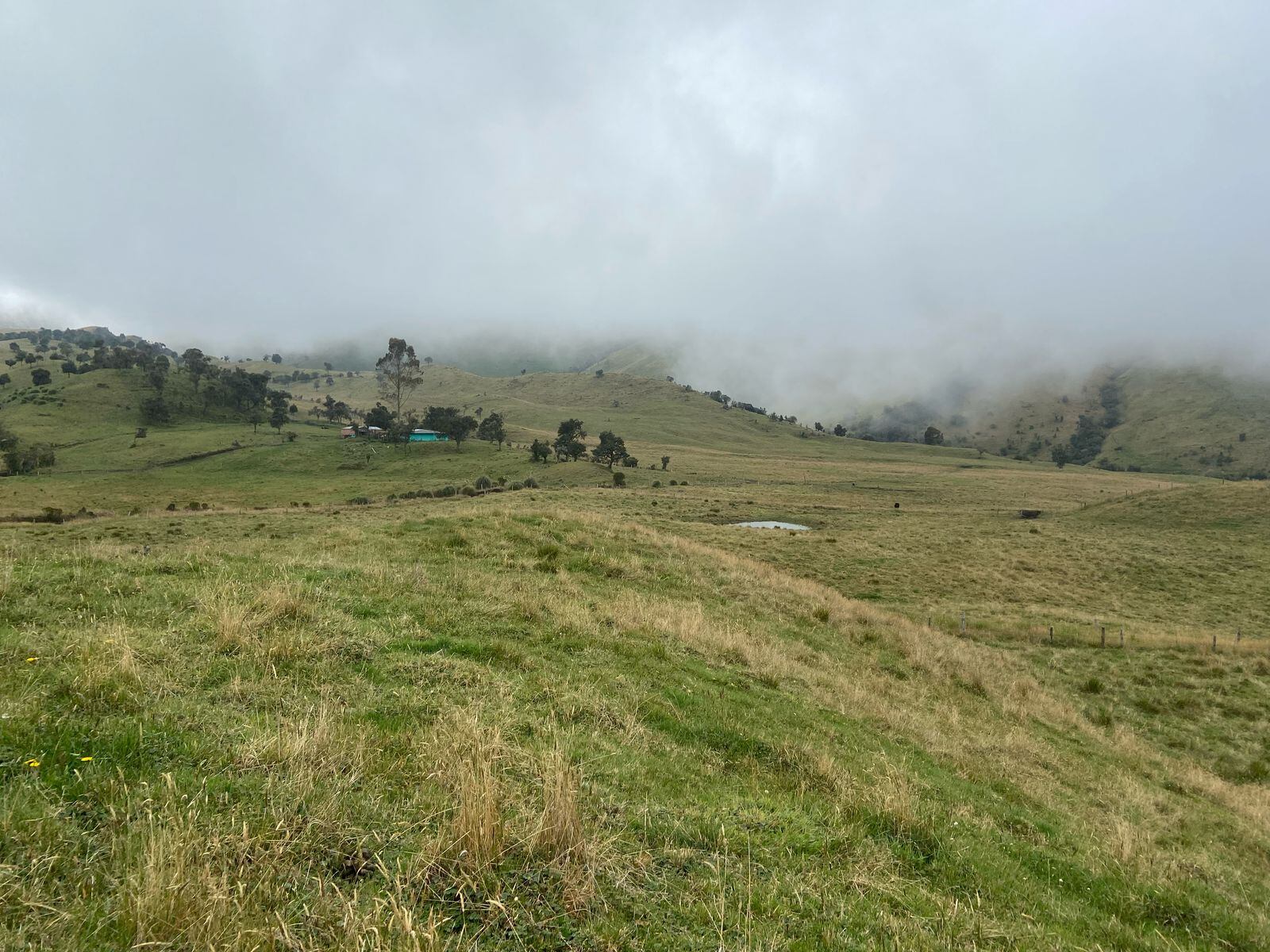 Fotografía: Caracol Radio