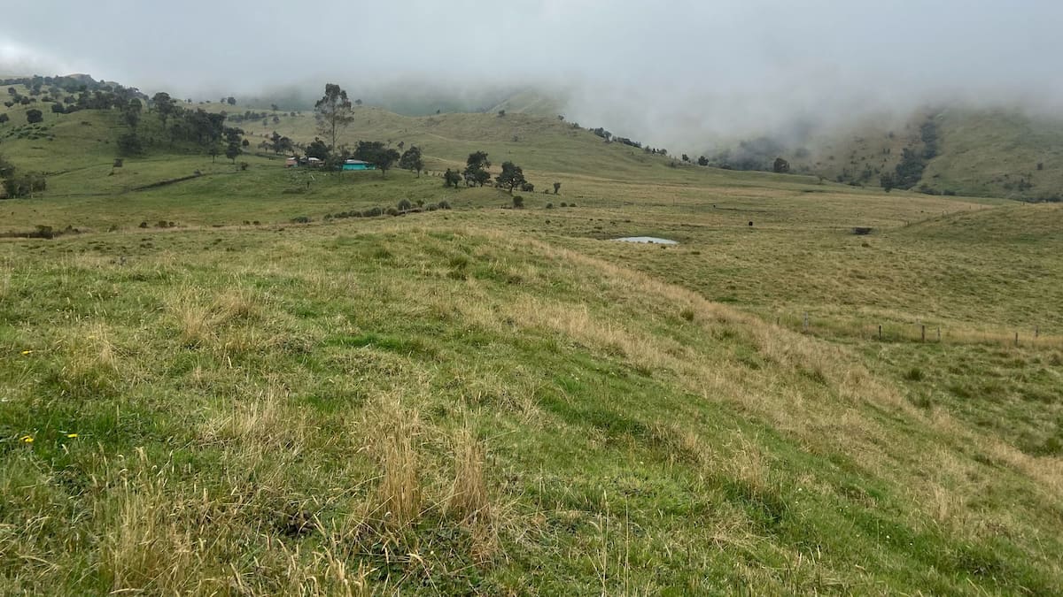 La Agencia Nacional de Tierras dice que no tiene intención de comprar terrenos en el PNN Los Nevados