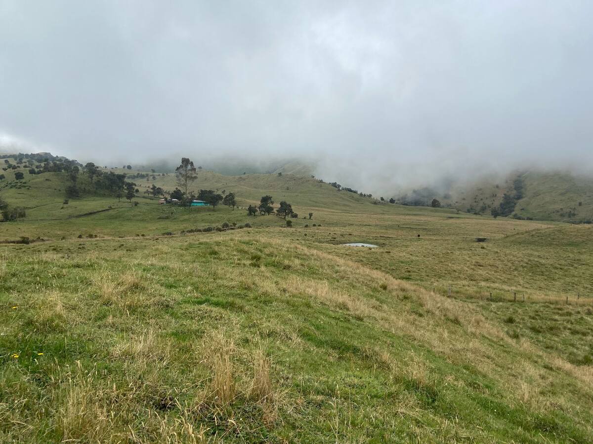 La Agencia Nacional de Tierras dice que no tiene intención de comprar terrenos en el PNN Los Nevados