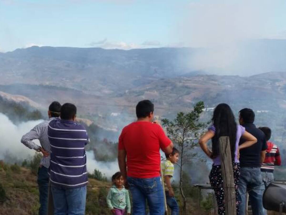 Incendio forestal afecta a cerca de 40 hectáreas de vegetación en Tinjacá, Boyacá