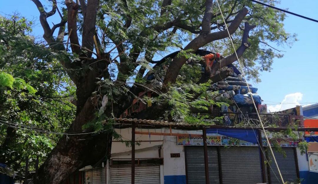 Temporada seca, fuertes vientos