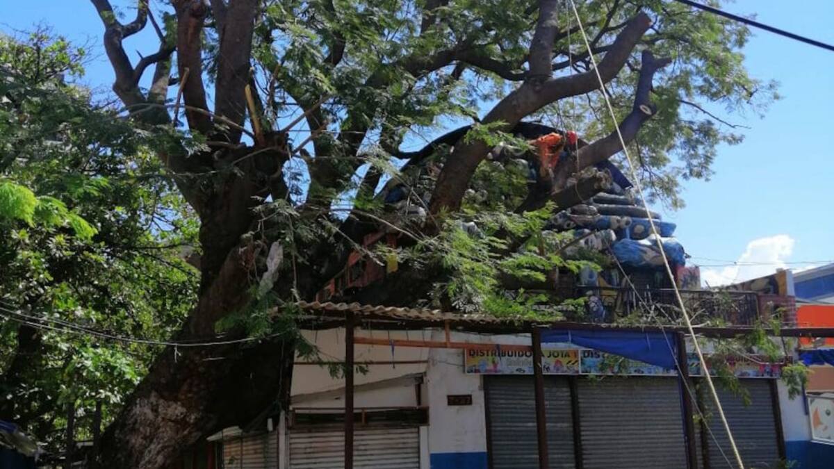 En Santa Marta advierten incremento de incendios, fuertes vientos y oleaje
