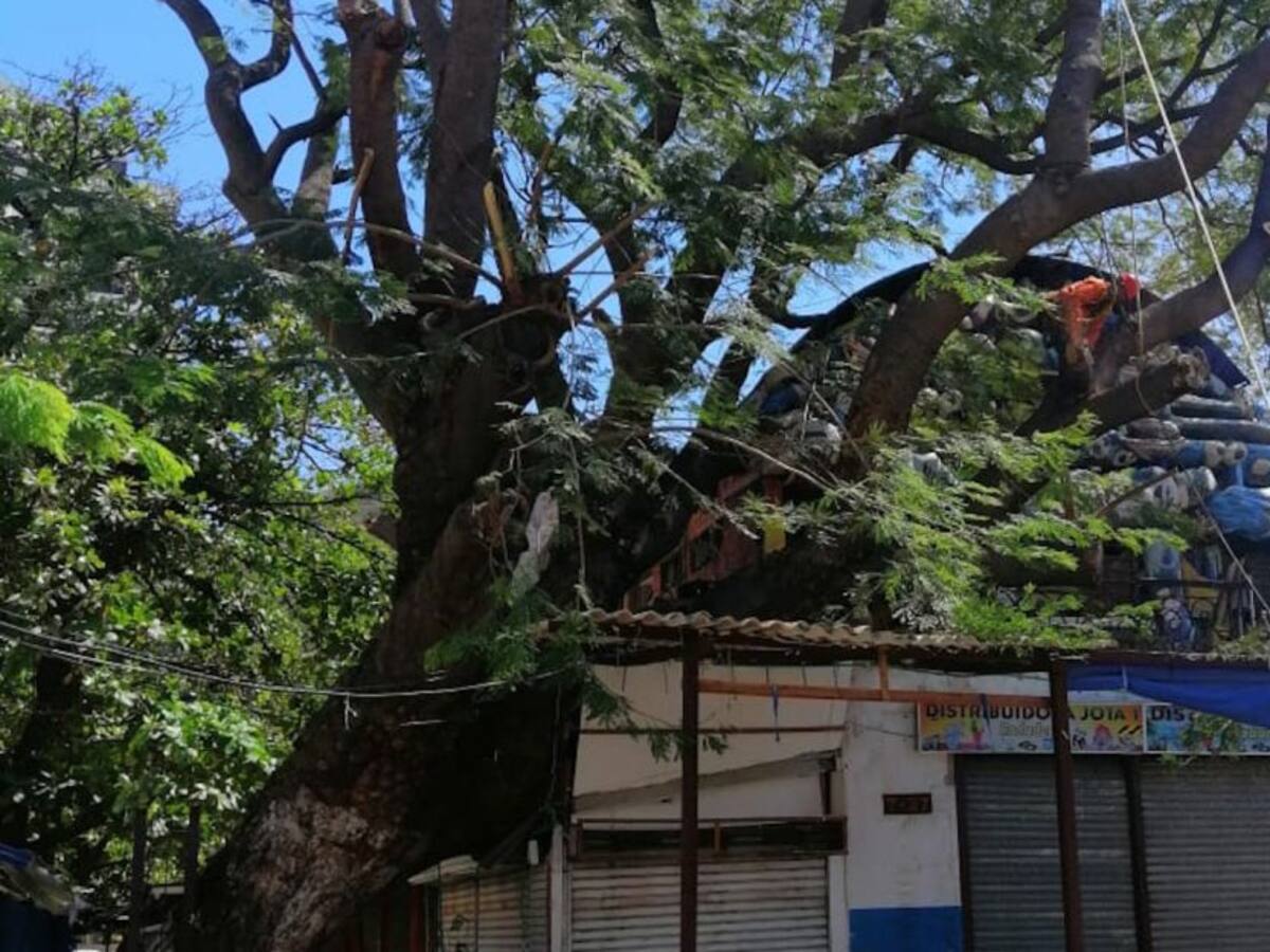 En Santa Marta advierten incremento de incendios, fuertes vientos y oleaje