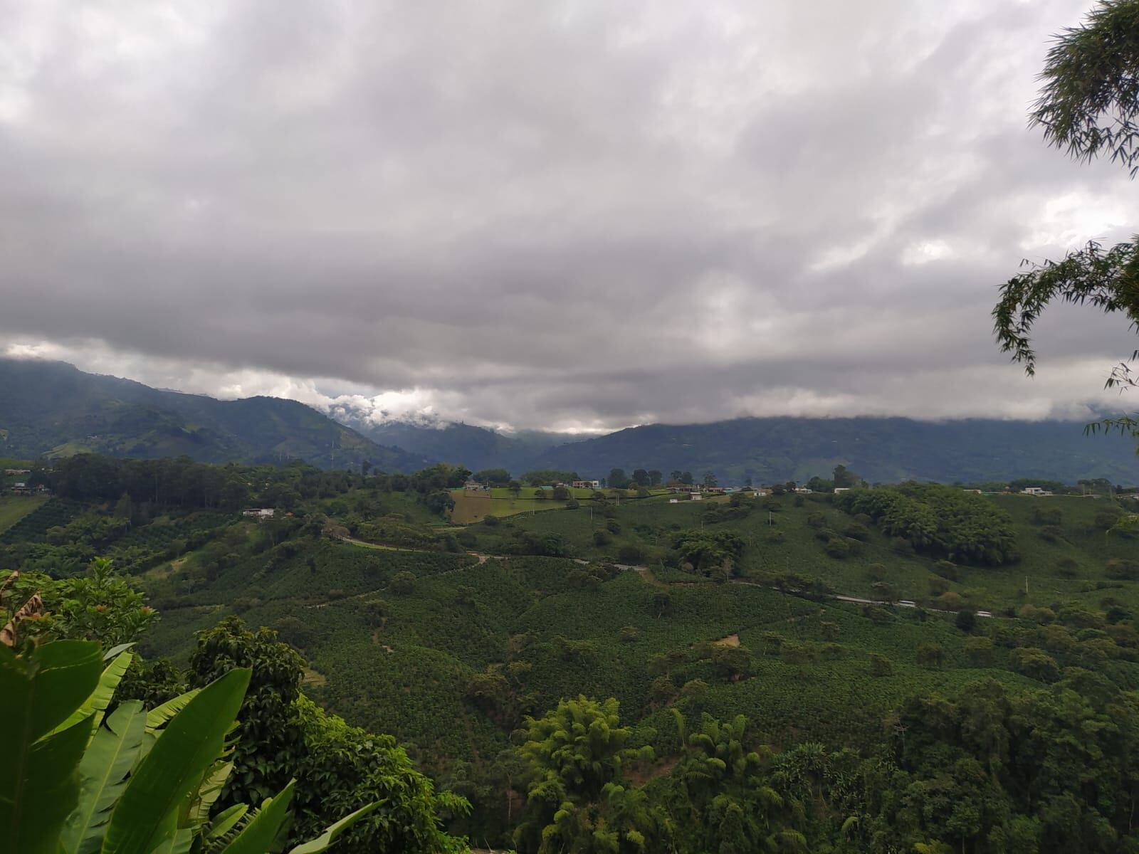 Paisaje de Armenia-Vanessa Porras