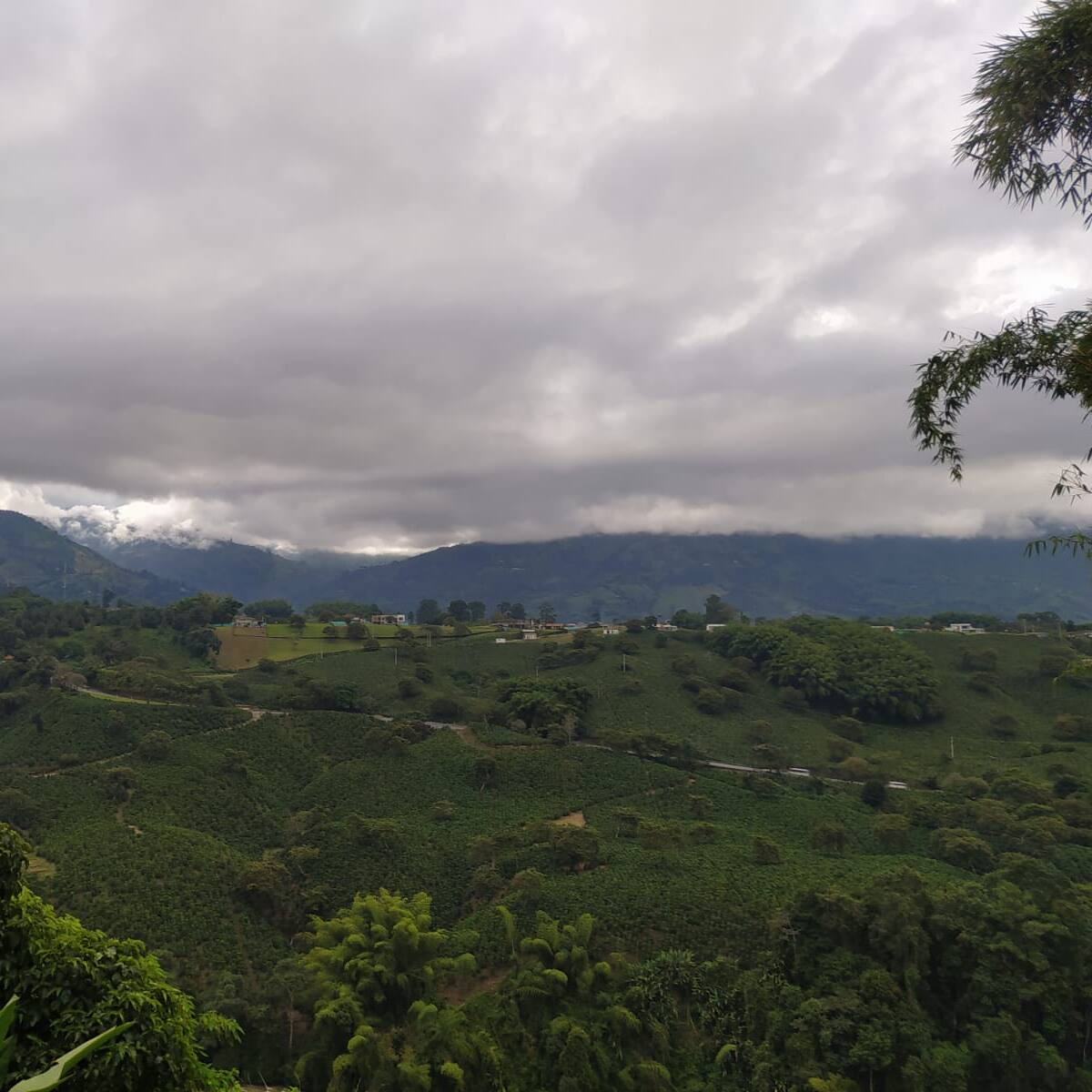 Jueves 3 de Noviembre, las principales noticias de Armenia y Quindío