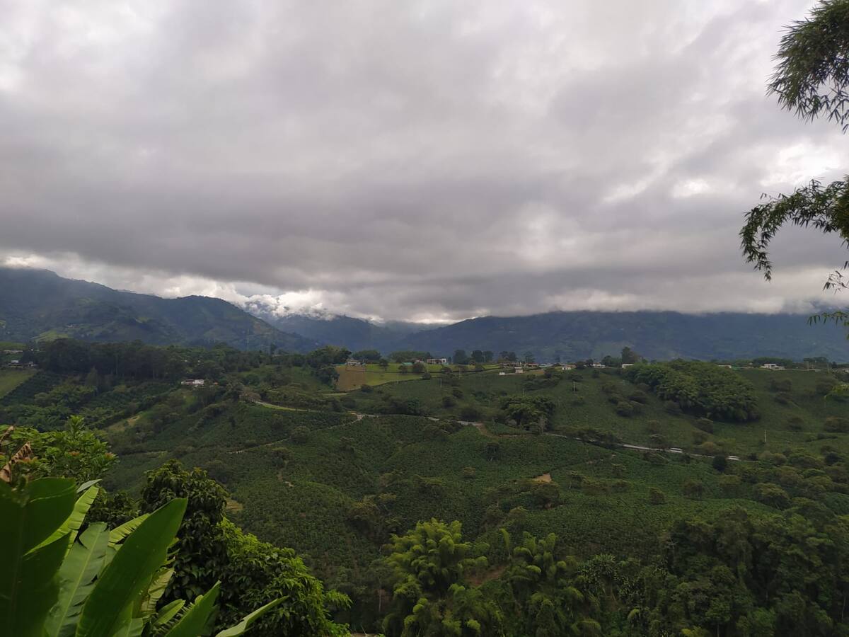 Jueves 3 de Noviembre, las principales noticias de Armenia y Quindío