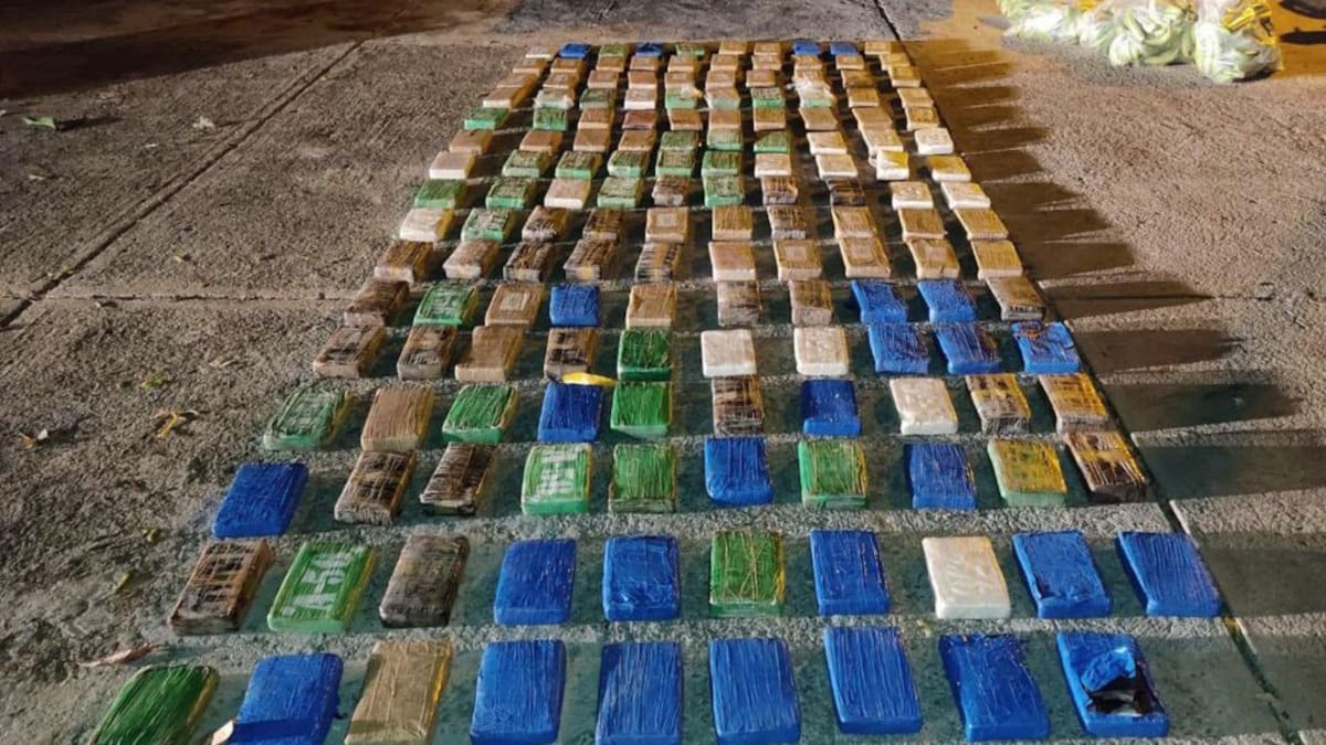 Agentes antidrogas confiscan cargamento de droga en la Troncal del Caribe