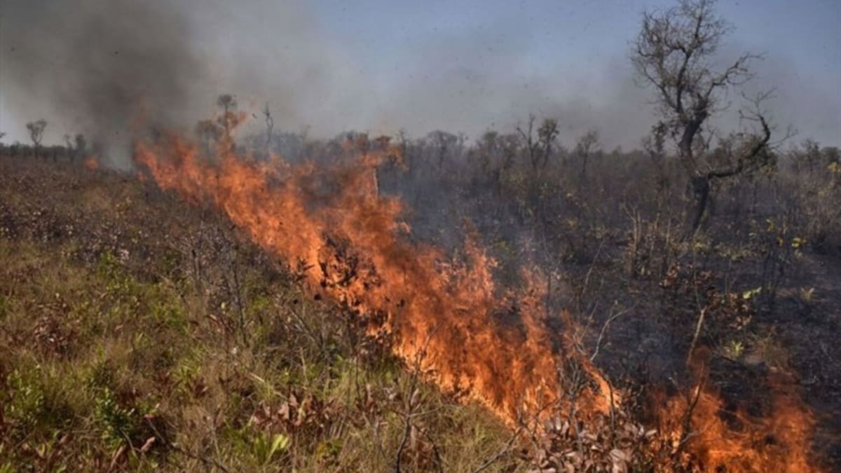 Hay alerta por probabilidad de incendios en algunos municipios de Risaralda