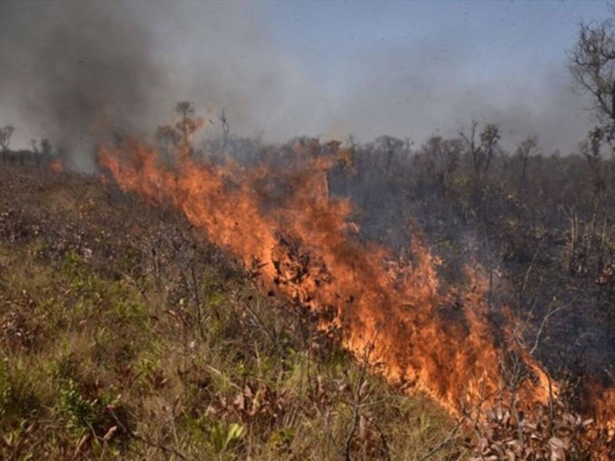 Hay alerta por probabilidad de incendios en algunos municipios de Risaralda