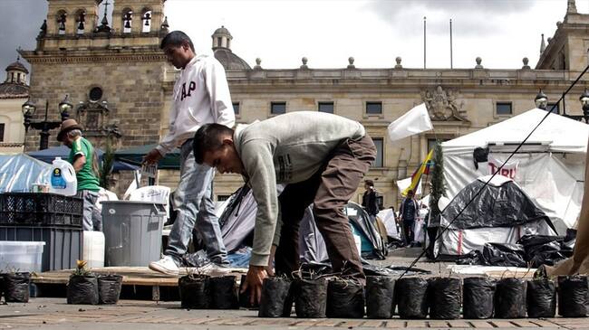 Miembros del campamento por la paz inician su salida de la plaza de Bolívar. . Foto: Colprensa