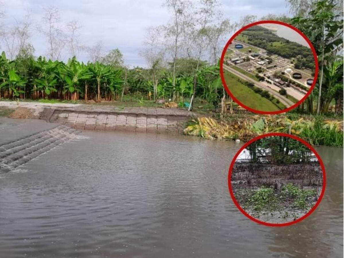 El daño ambiental del que señalan a Cenit, filial de Ecopetrol en Puerto Boyacá