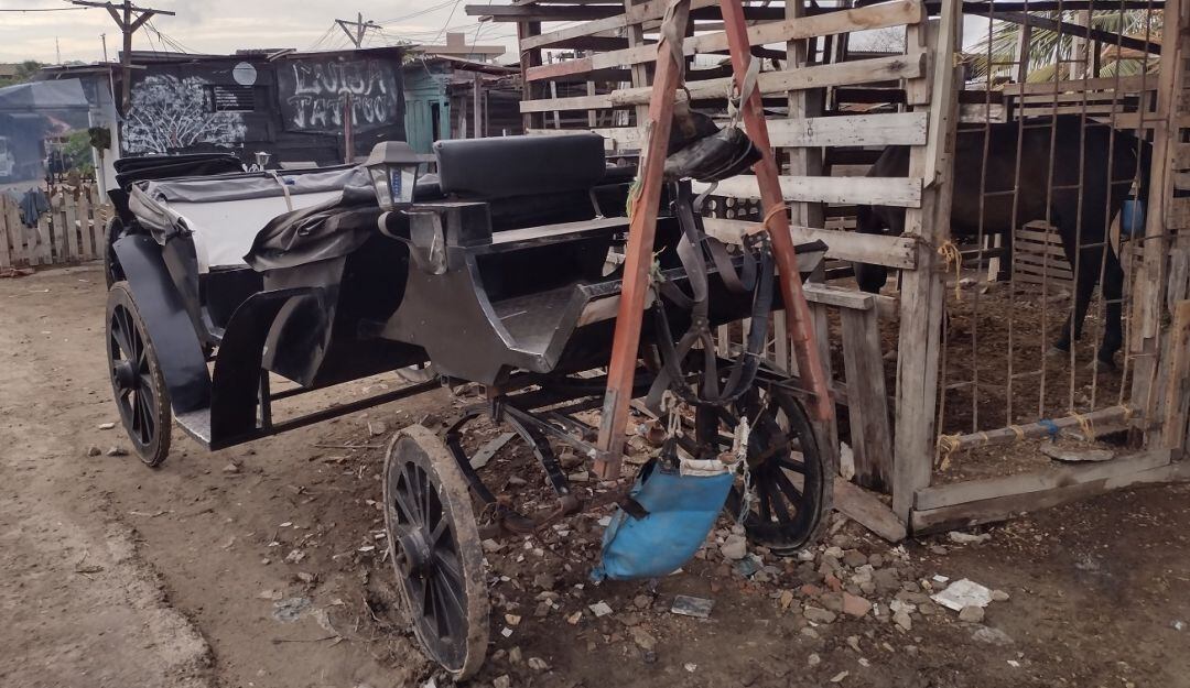 El Ministerio Público reiteró la necesidad de tomar medidas pertinentes por parte de cada una de las entidades como el DATT y la Umata