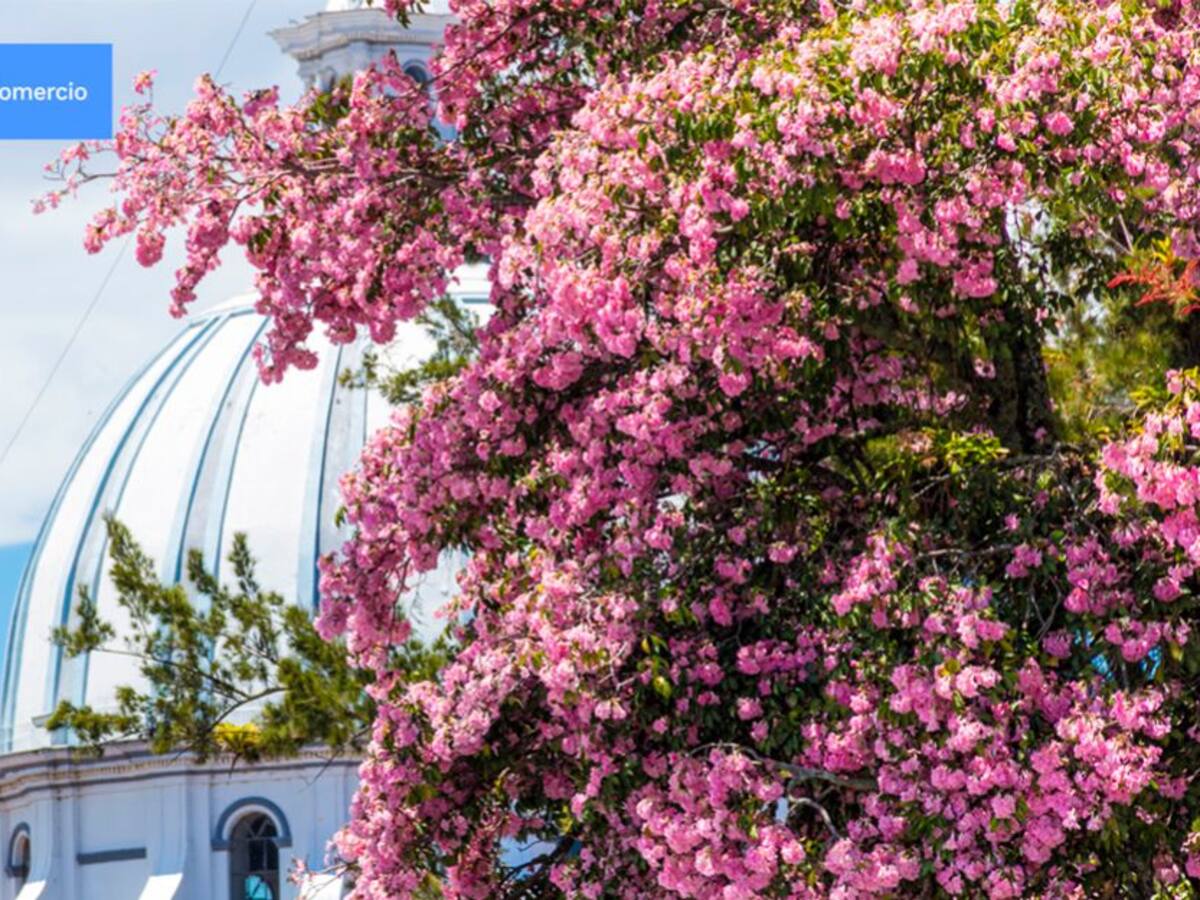 Popayán: un destino turístico ideal para palpar tradiciones y sazones