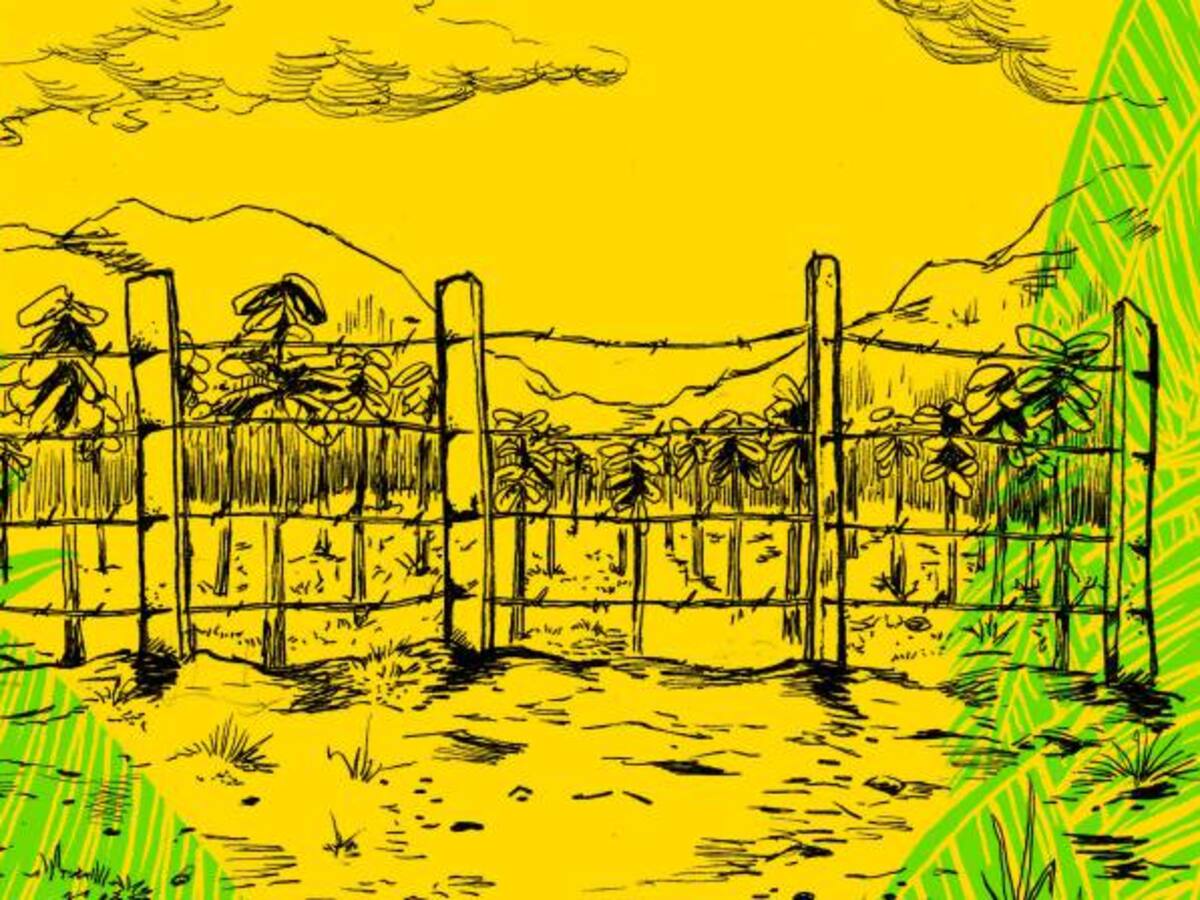 'Caminos condenados': la novela gráfica sobre el posconflicto en el campo