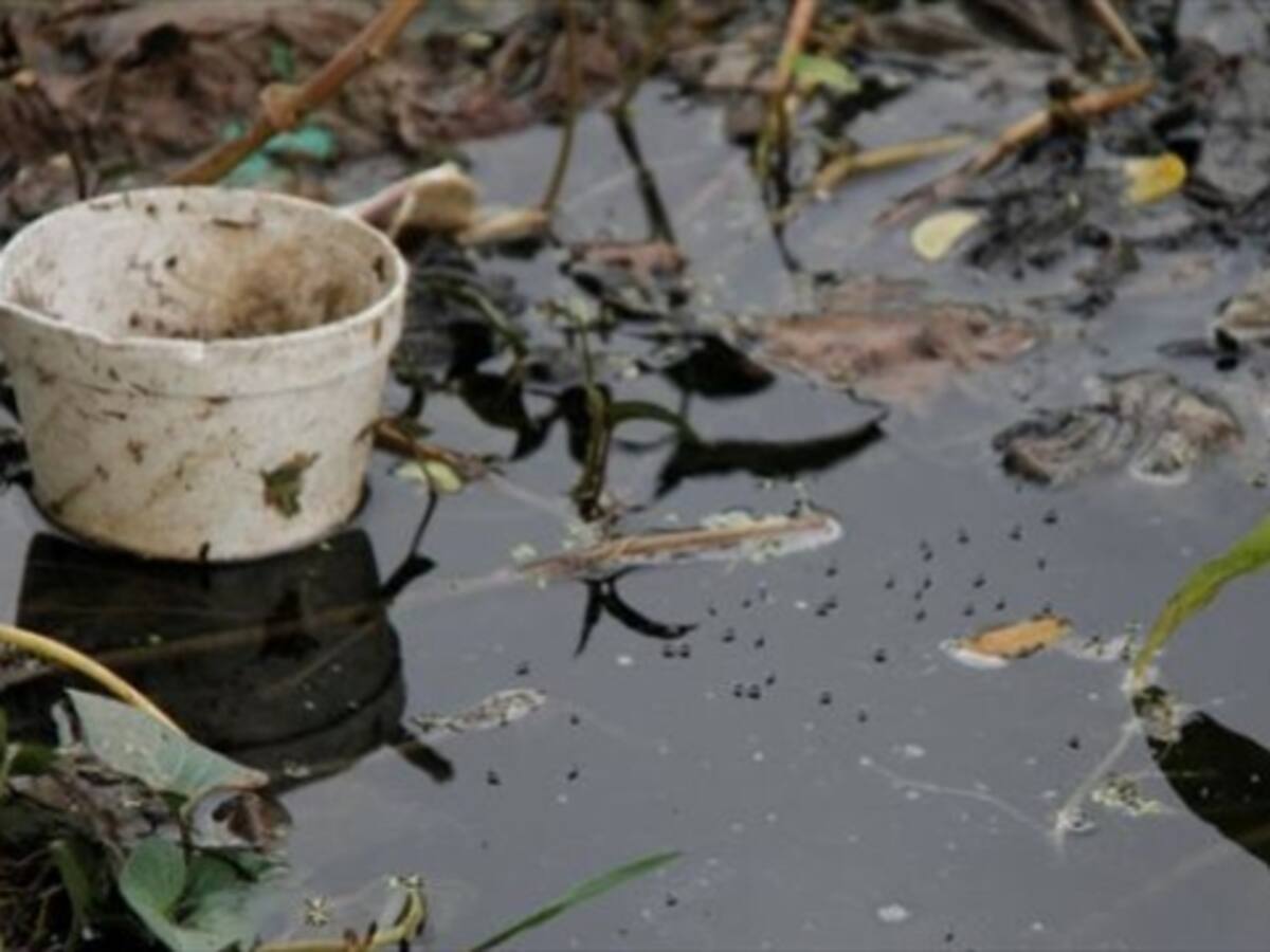 ONU pidió atención del Gobierno por epidemia de chikungunya en Chocó