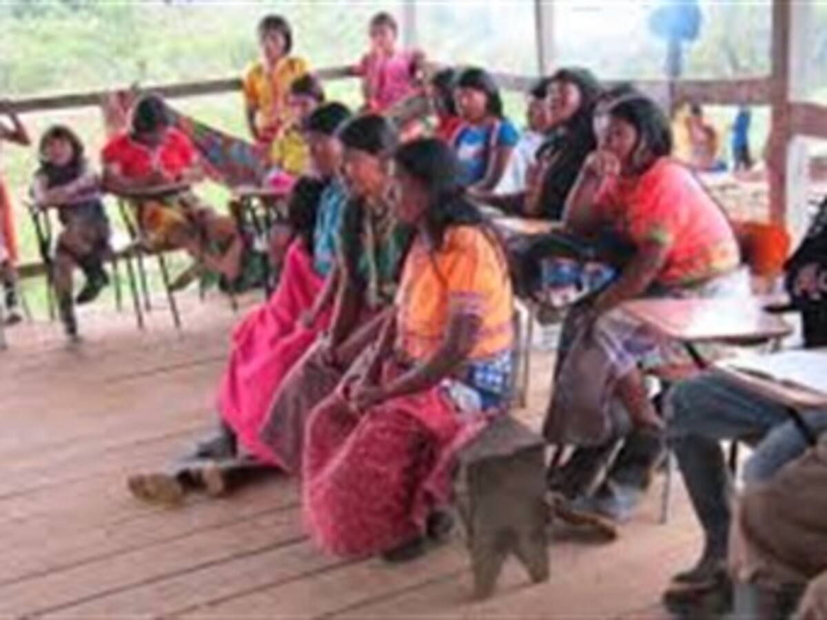 Indígenas piden reunión a jefes de las Farc y denuncian reclutamiento infantil