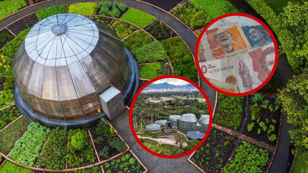 Conozca los nuevos precios y beneficios del Jardín Botánico de Bogotá. Foto Jardín Botánico de Bogotá y Getty Images