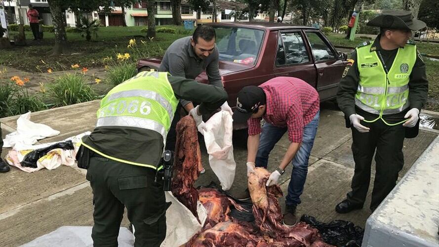 La carne de equino era transportada sin las mínimas condiciones de higiene y salubridad. Foto: Policía