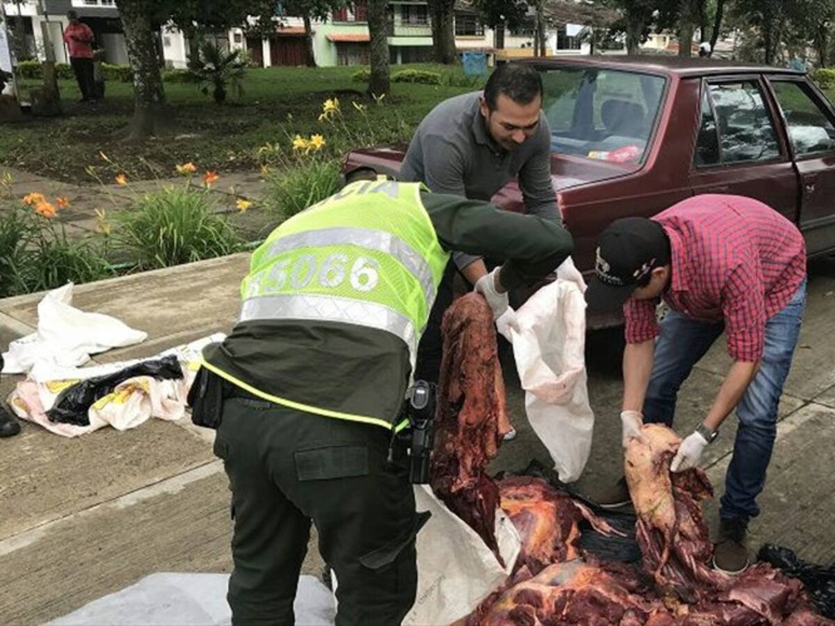 Incautan 200 kilos de carne de equino que serían vendidos en Popayán