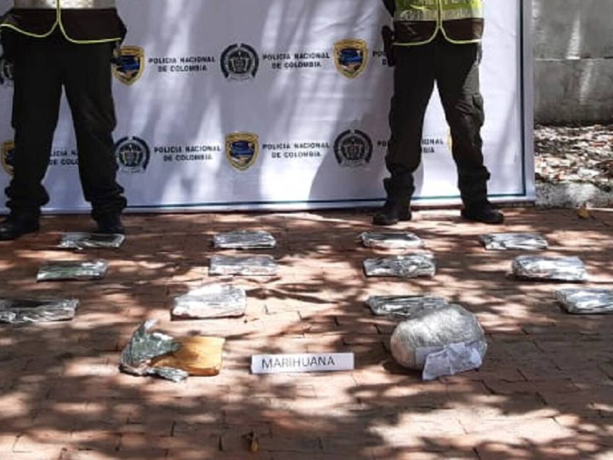 Como encomienda fueron enviados 15 kilos de marihuana tipo creepy