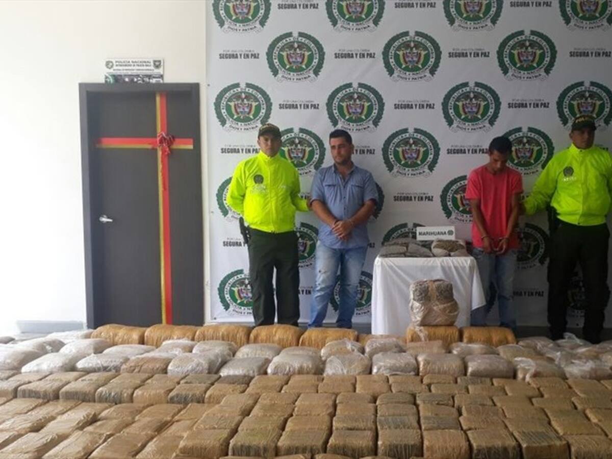 En Buga incautan media tonelada de marihuana tipo creepy