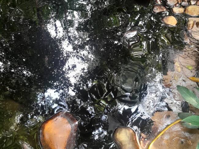 Derrame de crudo por atentado al oleoducto Caño Limon Coveñas.