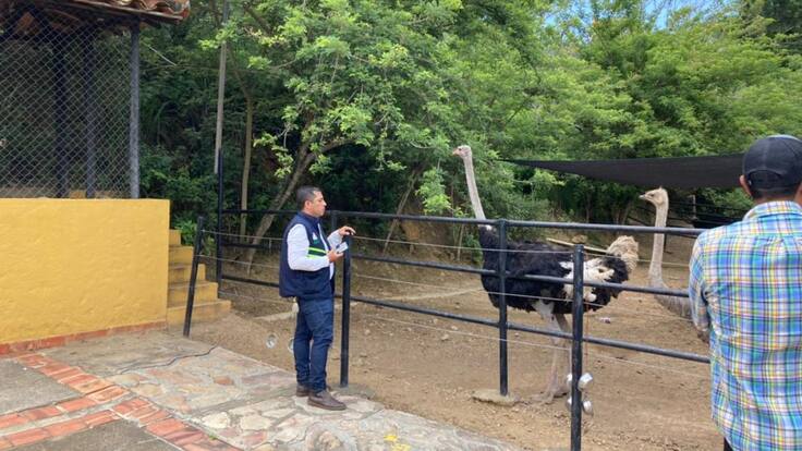 Trasladan dos animales del Parque Nacional del Chicamocha