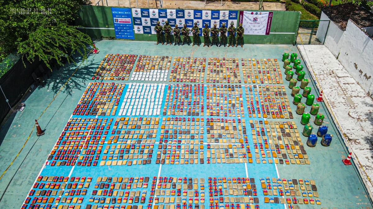 Incautan 1.7 toneladas de marihuana del Clan del Golfo en Tubará, Atlántico