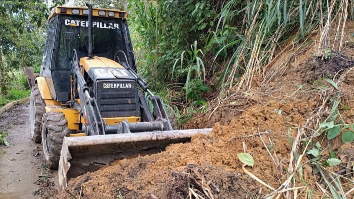 Alcalde de Buenavista