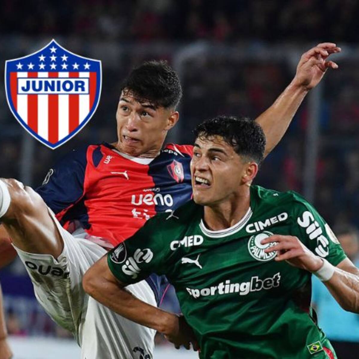 Así quedó Junior en su grupo de Copa Libertadores tras empate entre Palmeiras y Cerro Porteño