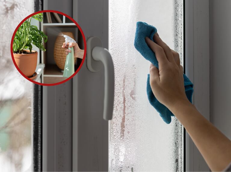 Getty Images / Limpieza