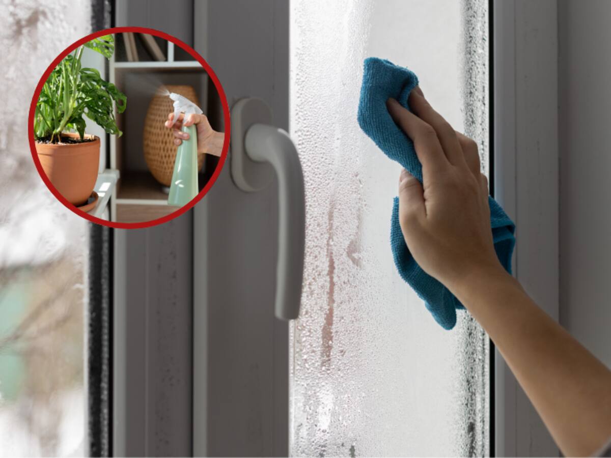 ¿Cómo acabar con la humedad en los pisos de una vivienda? Trucos definitivos