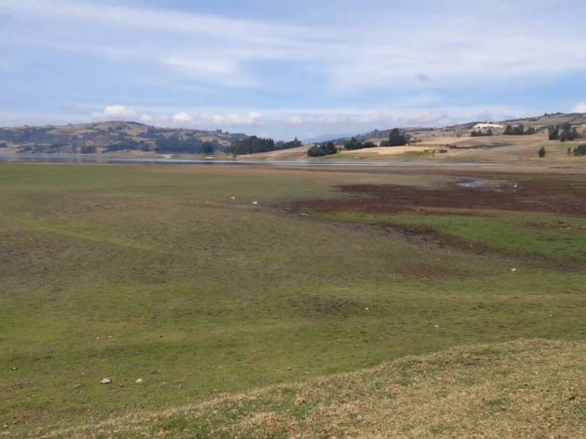 Tribunal Administrativo de Boyacá califica de negligente ADR por desacato