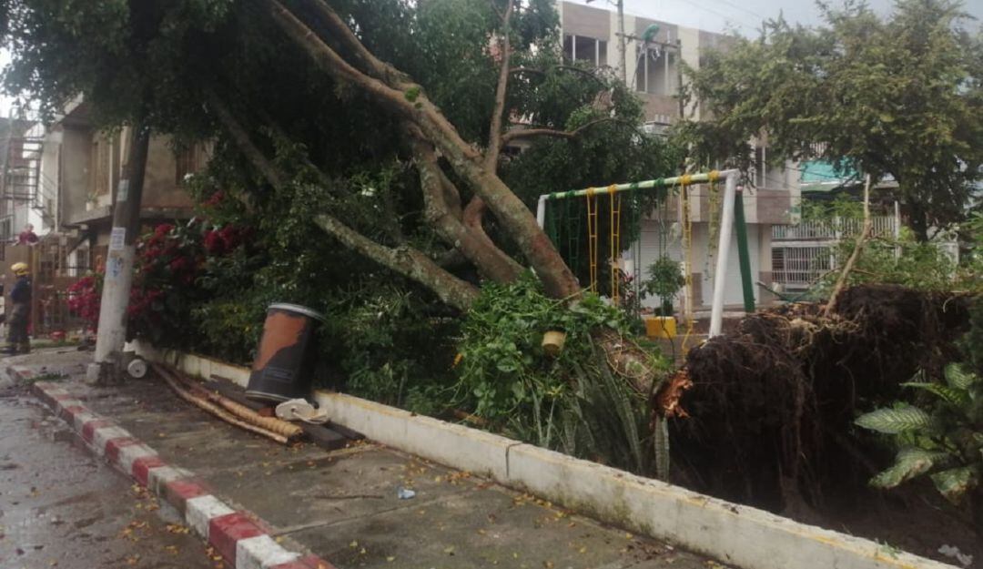 En Cali las lluvias caídas al sur de la ciudad ocasionaron la caída de varios árboles y vías inundadas.