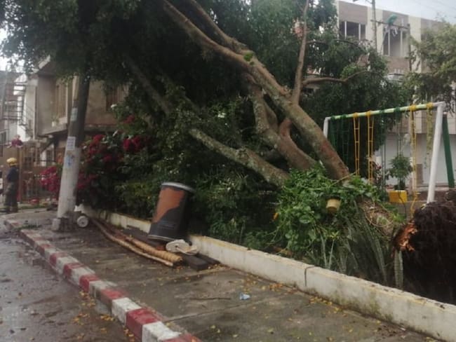 En Cali las lluvias caídas al sur de la ciudad ocasionaron la caída de varios árboles y vías inundadas.