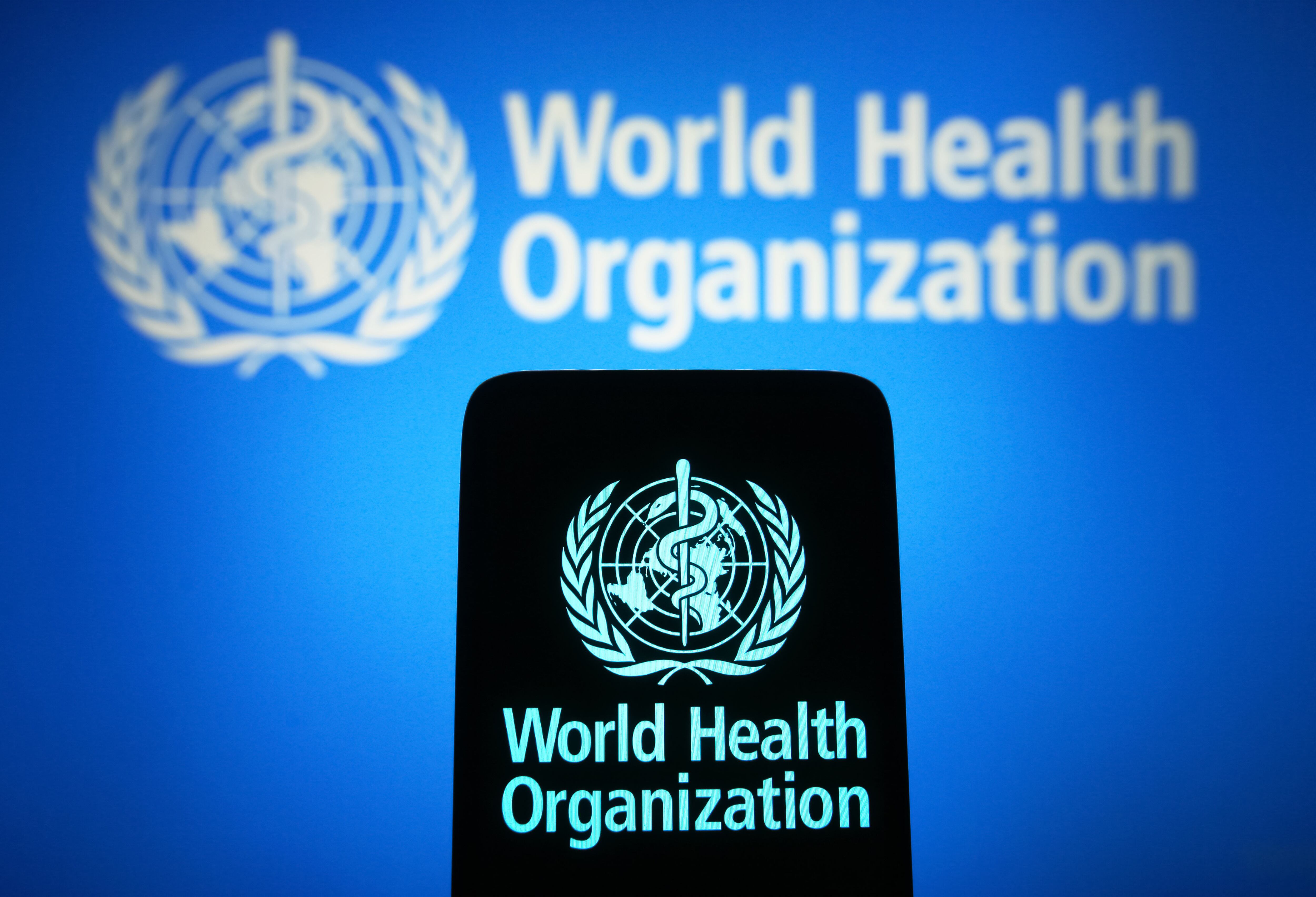 the World Health Organization. (Photo Illustration by Pavlo Gonchar/SOPA Images/LightRocket via Getty Images)