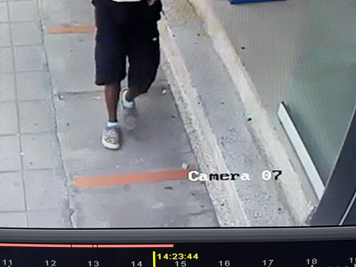 En segundos se robaron un perro de una veterinaria