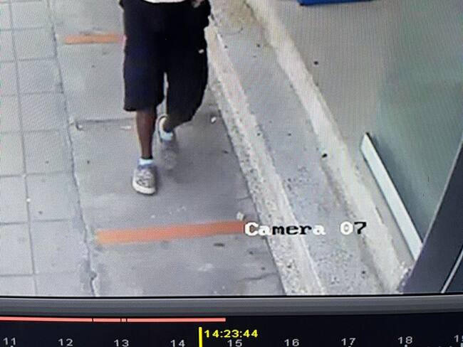 En segundos se robaron un perro de una veterinaria