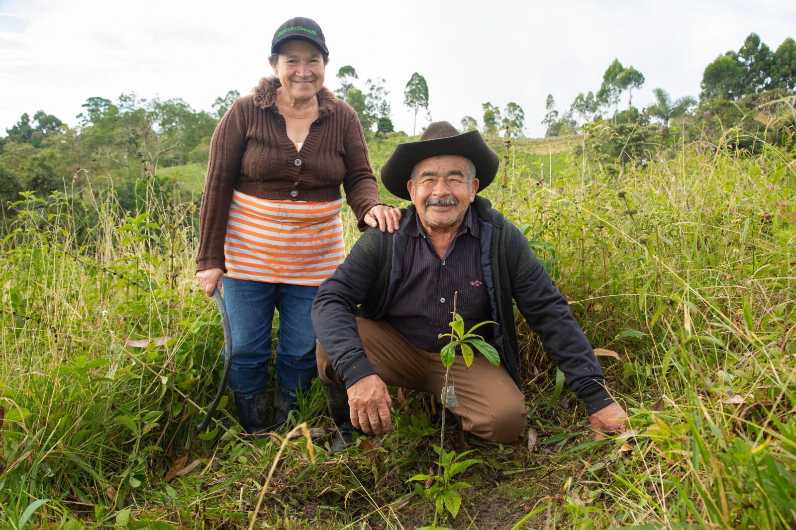 Cerca 141 mil árboles nuevos sembrados en el Huila.