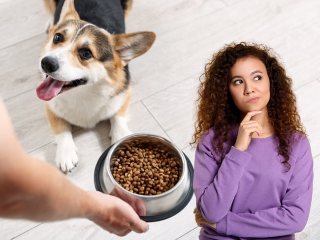 El ingrediente clave que debe tener el alimento de su mascota: ¿Lo encuentra en Colombia?