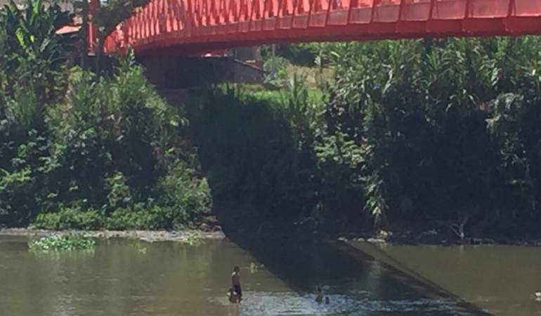 En La Virginia el río Cauca no supera un metro de profundidad.