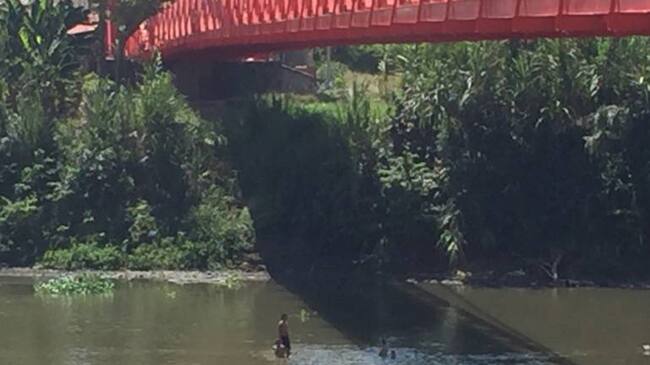 En La Virginia el río Cauca no supera un metro de profundidad.