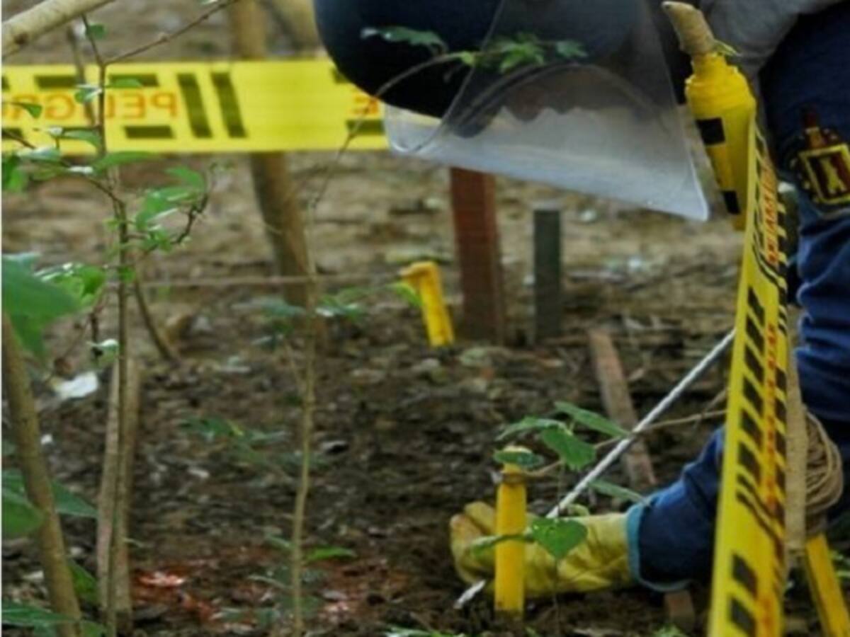 Sumapaz espera recursos para culminar desminado