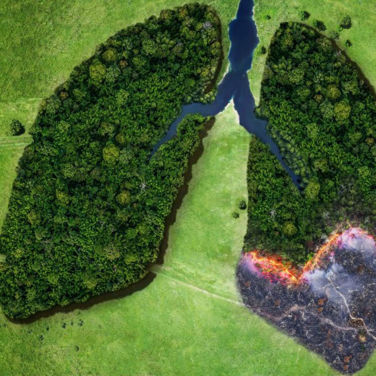 ¿Cómo afectan las quemas en la salud de los seres humanos?