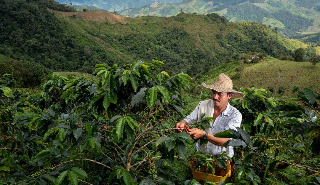 Crédito: Archivo Caracol Radio.