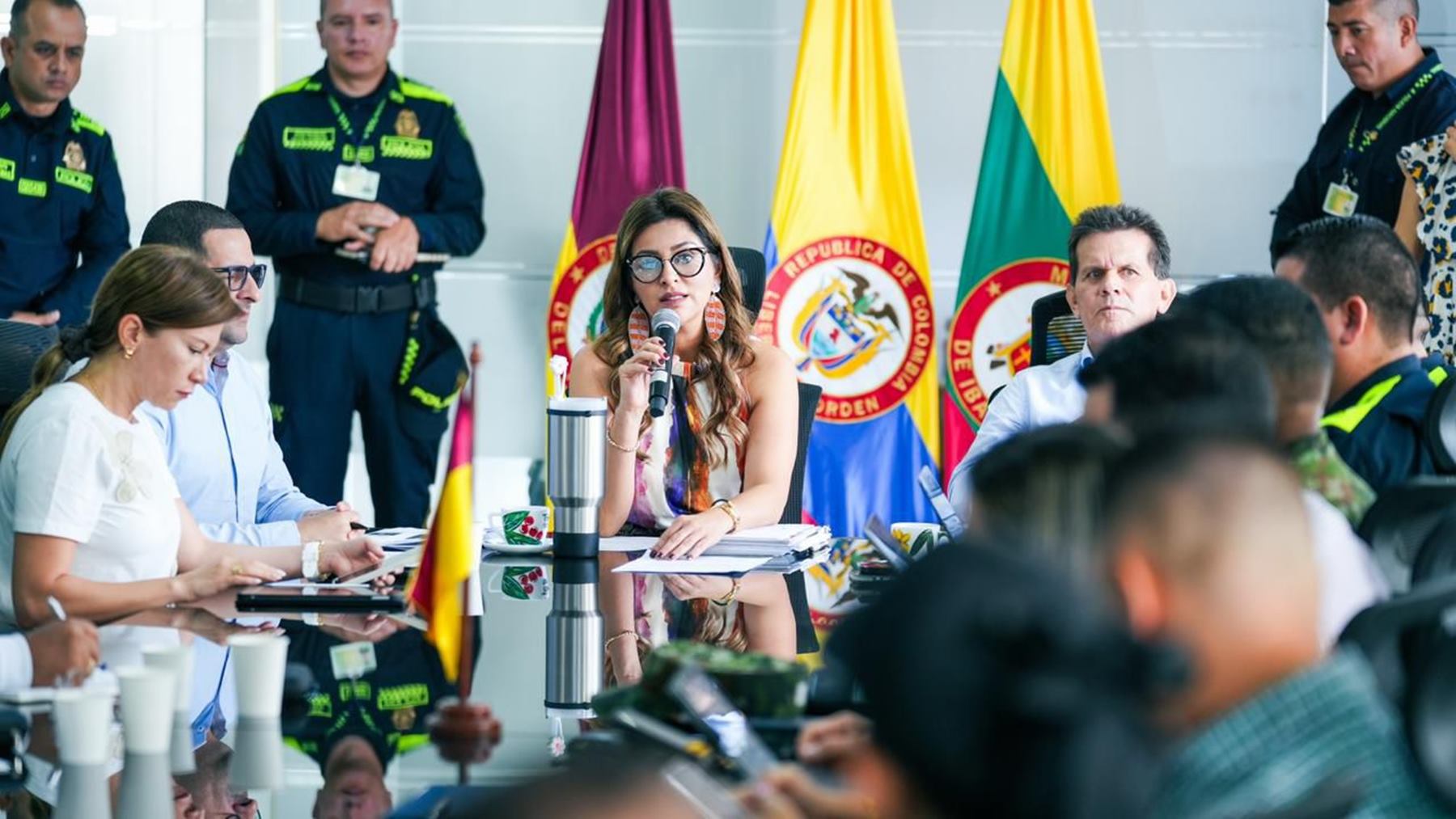 Consejo de Seguridad en el Tolima