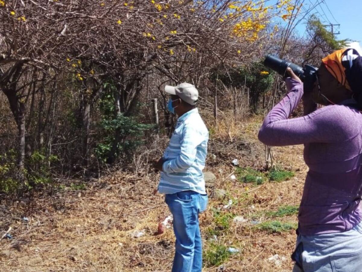 EPA Cartagena monitorea a especies amenazadas de Bosque Seco Tropical