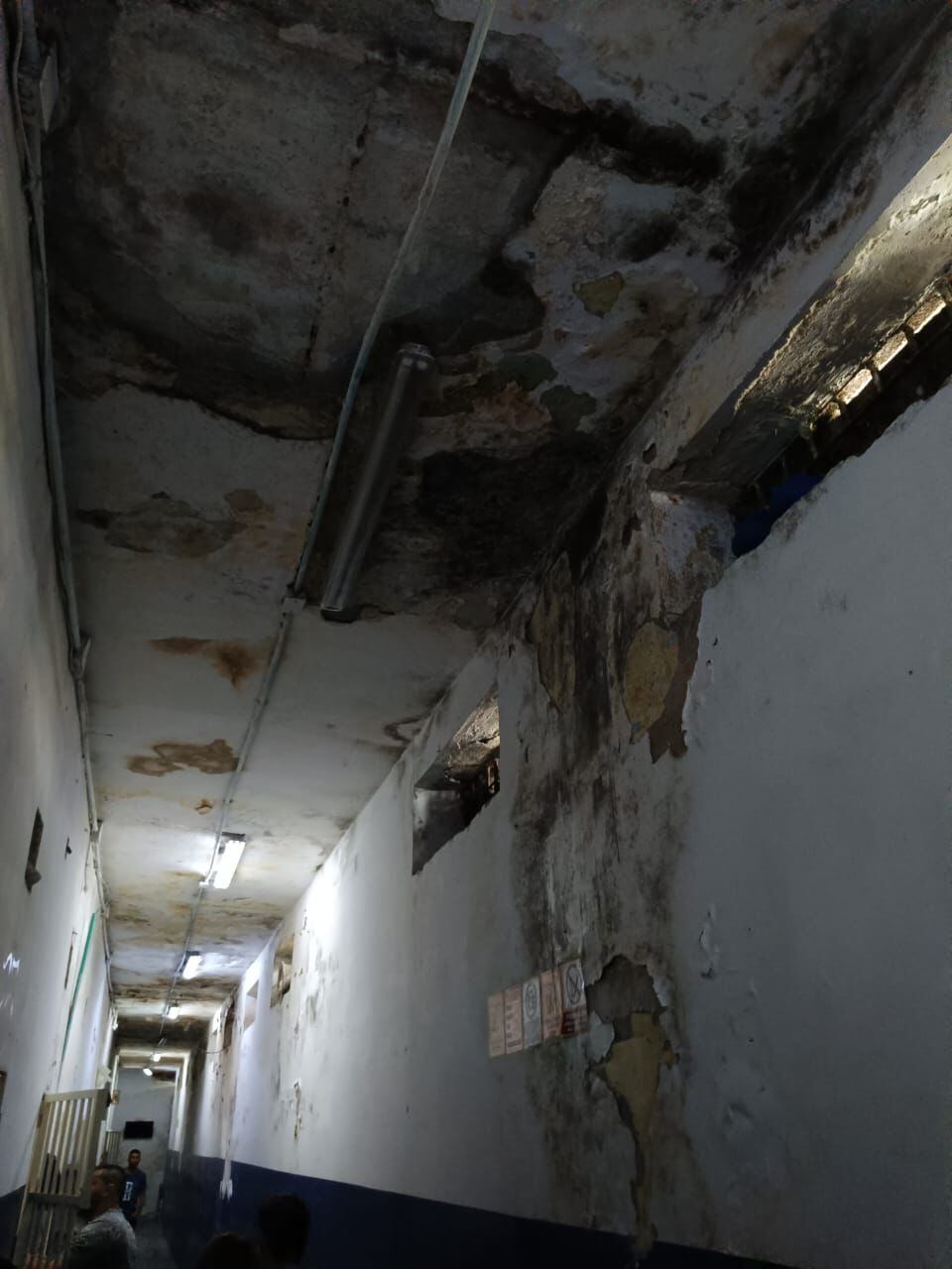 Fotografía suminsitrada: SEUP