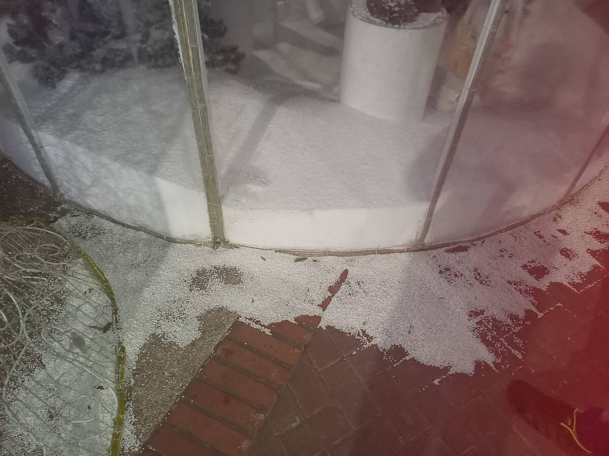 Elec advierte sobre figuras navideñas afectadas por hurtos y mal uso en Montería